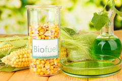 Dinworthy biofuel availability