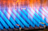 Dinworthy gas fired boilers